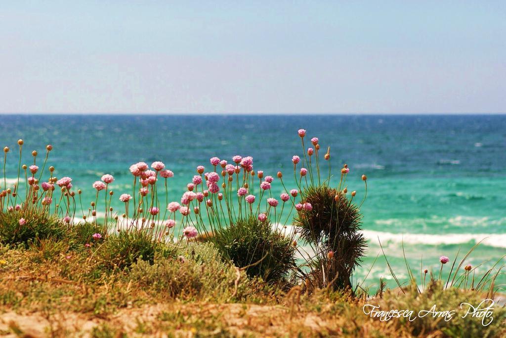 Residenze L'isola Surf House 3*