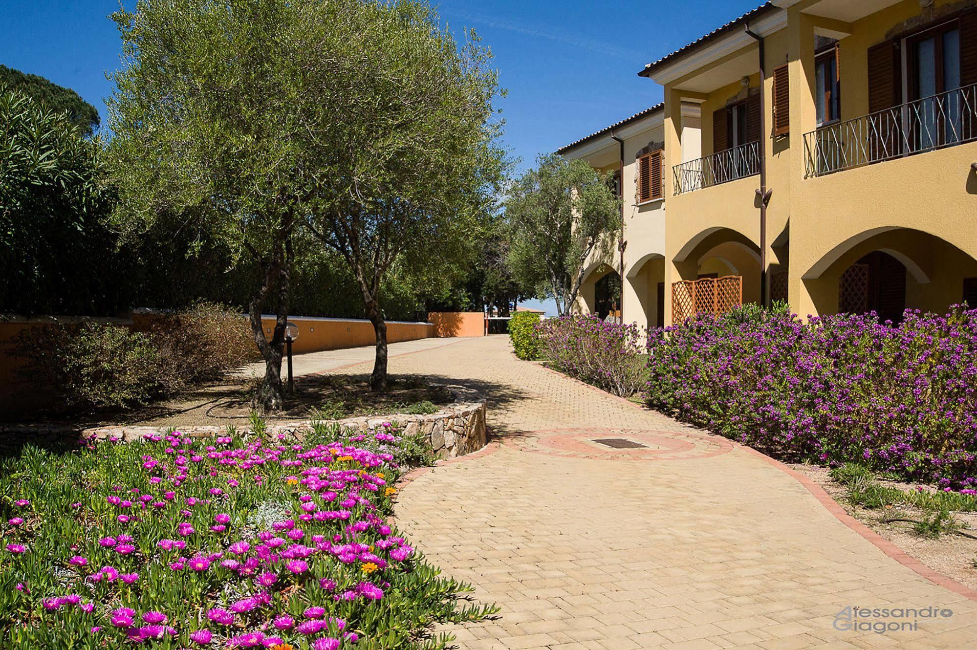 Residenze L'isola Surf House Aparthotel Porto Pollo